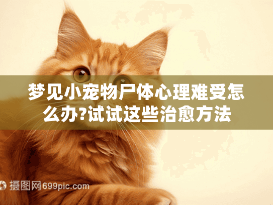 梦见小宠物尸体心理难受怎么办?试试这些治愈方法