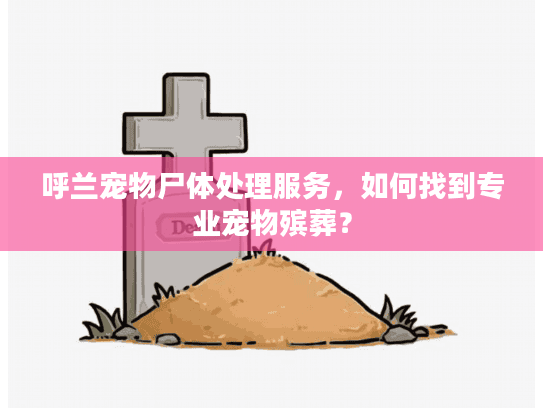呼兰宠物尸体处理服务，如何找到专业宠物殡葬？