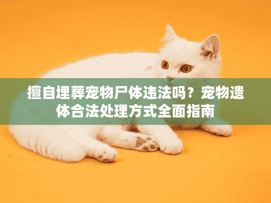 擅自埋葬宠物尸体违法吗？宠物遗体合法处理方式全面指南