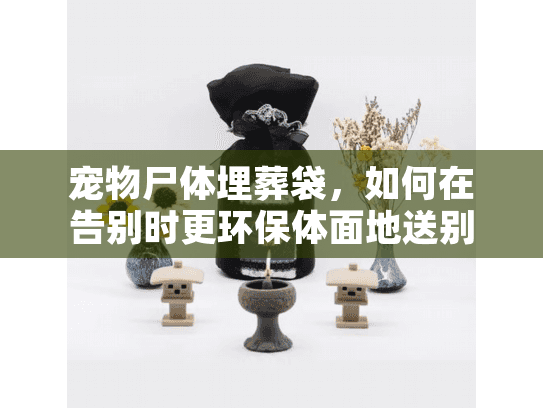 宠物尸体埋葬袋，如何在告别时更环保体面地送别爱宠？