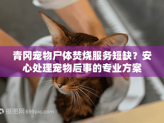 青冈宠物尸体焚烧服务短缺？安心处理宠物后事的专业方案