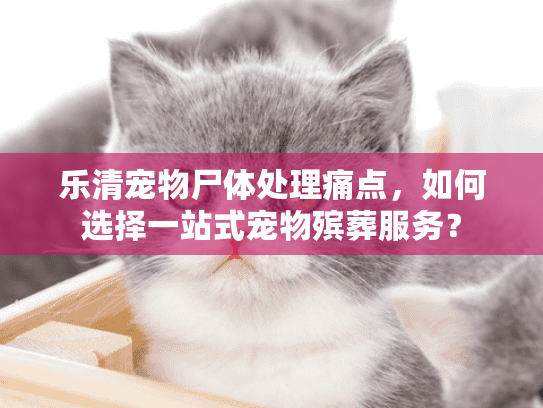 乐清宠物尸体处理痛点，如何选择一站式宠物殡葬服务？