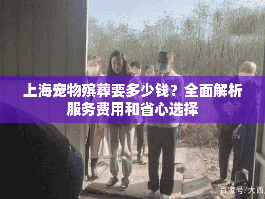 上海宠物殡葬要多少钱？全面解析服务费用和省心选择