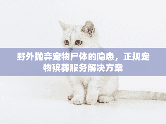 野外抛弃宠物尸体的隐患，正规宠物殡葬服务解决方案