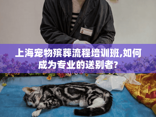 上海宠物殡葬流程培训班,如何成为专业的送别者?