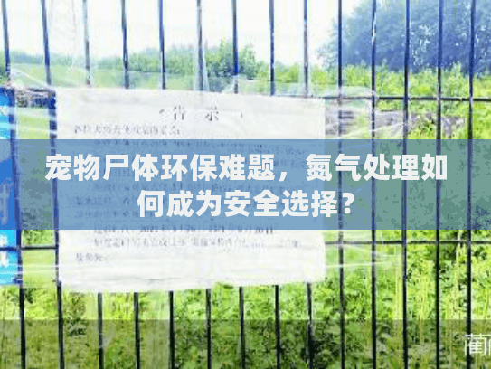 宠物尸体环保难题，氮气处理如何成为安全选择？