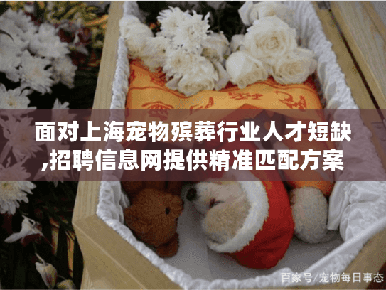 面对上海宠物殡葬行业人才短缺,招聘信息网提供精准匹配方案?