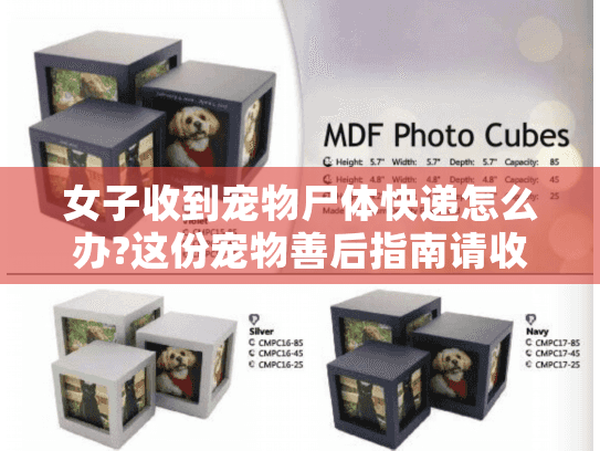 女子收到宠物尸体快递怎么办?这份宠物善后指南请收好