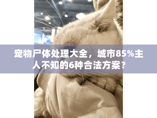 宠物尸体处理大全，城市85%主人不知的6种合法方案？