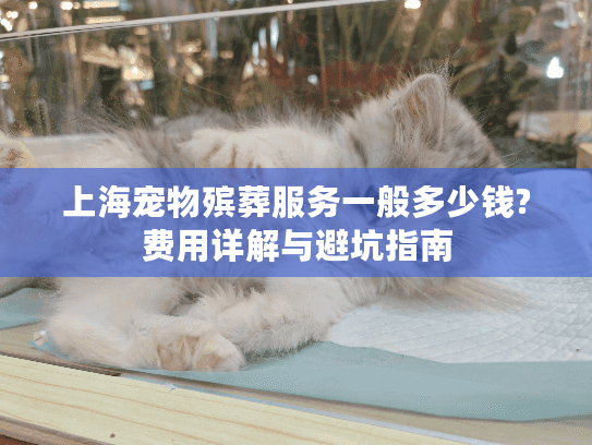 上海宠物殡葬服务一般多少钱?费用详解与避坑指南