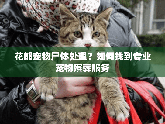 花都宠物尸体处理？如何找到专业宠物殡葬服务
