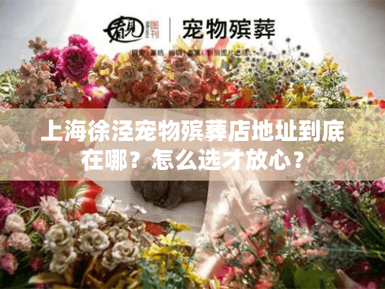 上海徐泾宠物殡葬店地址到底在哪？怎么选才放心？