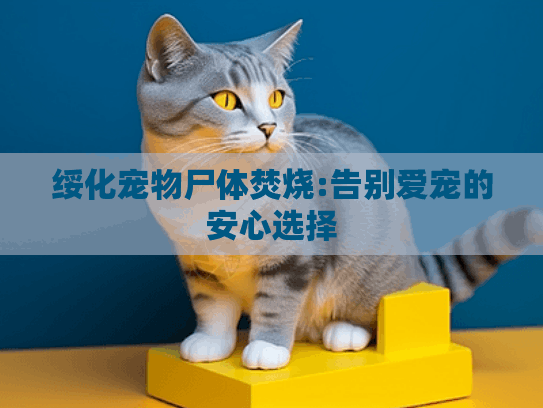 绥化宠物尸体焚烧:告别爱宠的安心选择