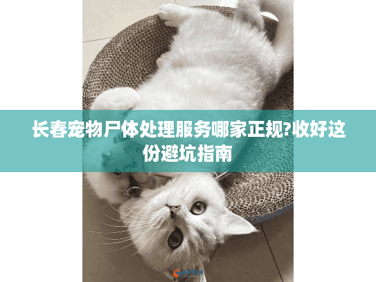 长春宠物尸体处理服务哪家正规?收好这份避坑指南