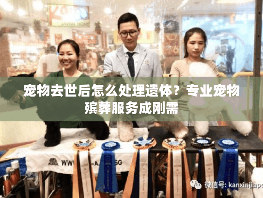 宠物去世后怎么处理遗体？专业宠物殡葬服务成刚需