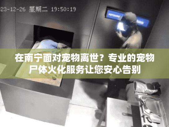 在南宁面对宠物离世？专业的宠物尸体火化服务让您安心告别