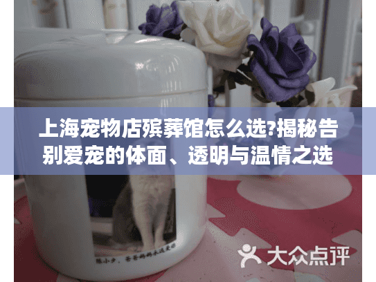 上海宠物店殡葬馆怎么选?揭秘告别爱宠的体面、透明与温情之选