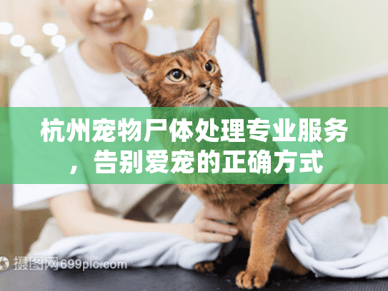 杭州宠物尸体处理专业服务，告别爱宠的正确方式