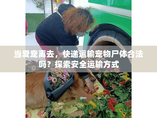 当爱宠离去，快递运输宠物尸体合法吗？探索安全运输方式