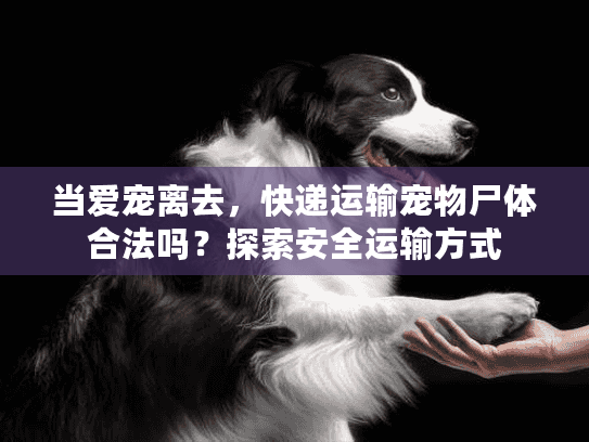 当爱宠离去，快递运输宠物尸体合法吗？探索安全运输方式