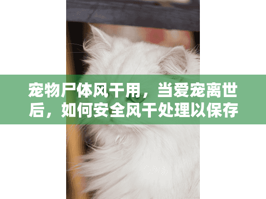 宠物尸体风干用，当爱宠离世后，如何安全风干处理以保存记忆？