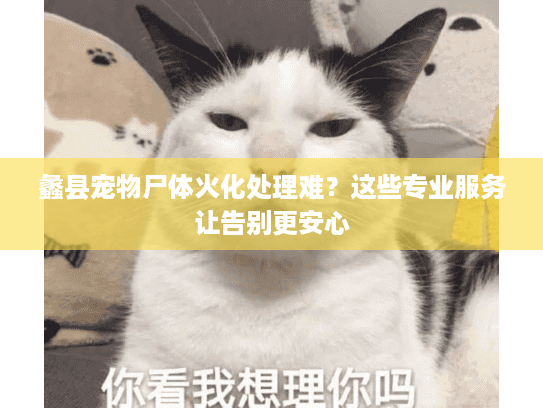 蠡县宠物尸体火化处理难？这些专业服务让告别更安心