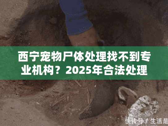 西宁宠物尸体处理找不到专业机构？2025年合法处理的完整指南