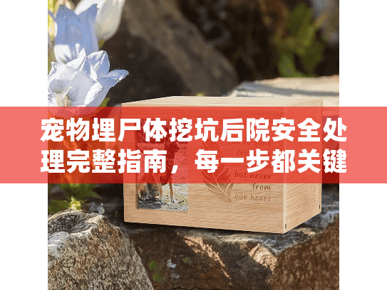 宠物埋尸体挖坑后院安全处理完整指南，每一步都关键