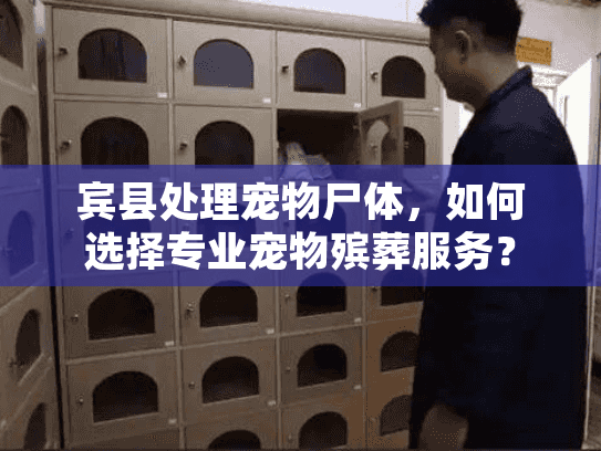 宾县处理宠物尸体，如何选择专业宠物殡葬服务？