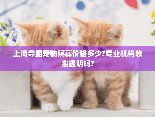上海寺庙宠物殡葬价格多少?专业机构收费透明吗?