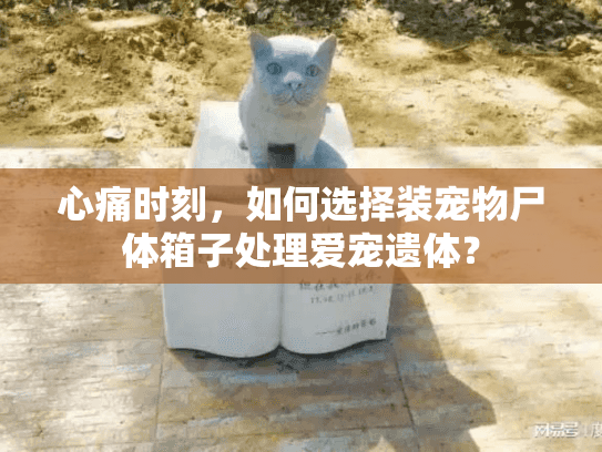 心痛时刻，如何选择装宠物尸体箱子处理爱宠遗体？