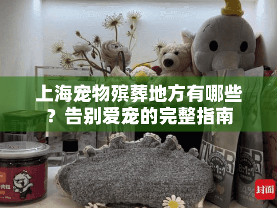 上海宠物殡葬地方有哪些？告别爱宠的完整指南