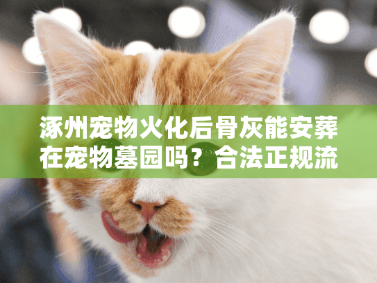 涿州宠物火化后骨灰能安葬在宠物墓园吗？合法正规流程详解
