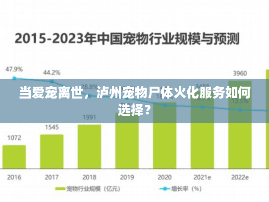 当爱宠离世，泸州宠物尸体火化服务如何选择？