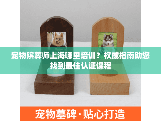 宠物殡葬师上海哪里培训？权威指南助您找到最佳认证课程