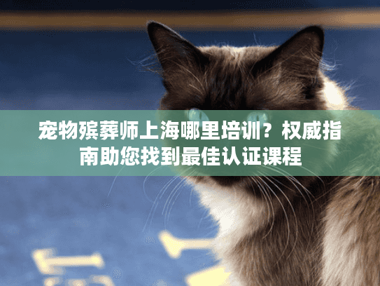 宠物殡葬师上海哪里培训？权威指南助您找到最佳认证课程