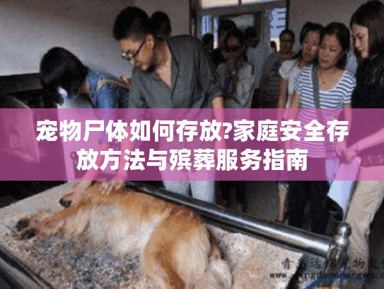 宠物尸体如何存放?家庭安全存放方法与殡葬服务指南