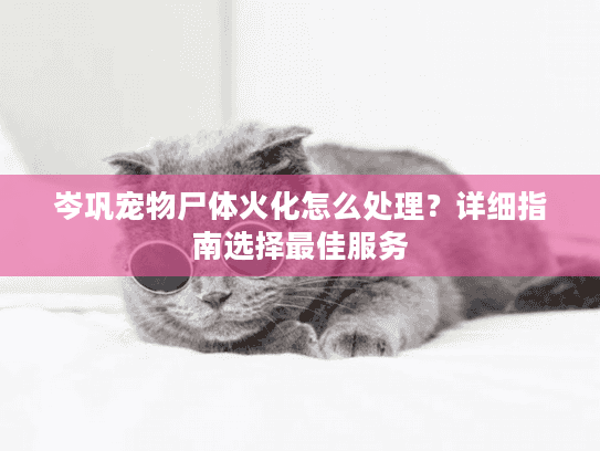 岑巩宠物尸体火化怎么处理？详细指南选择最佳服务