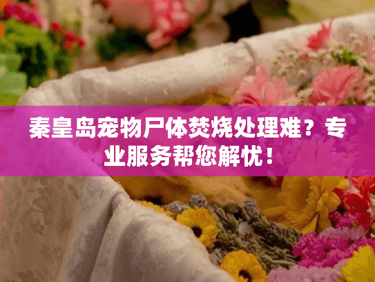 秦皇岛宠物尸体焚烧处理难？专业服务帮您解忧！