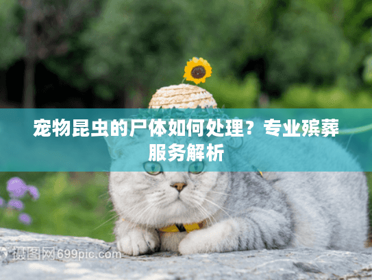 宠物昆虫的尸体如何处理？专业殡葬服务解析