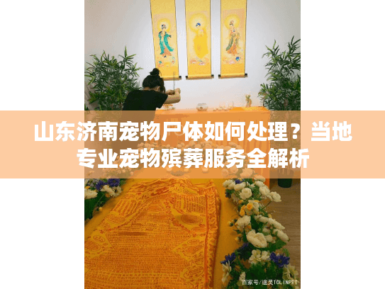 山东济南宠物尸体如何处理？当地专业宠物殡葬服务全解析