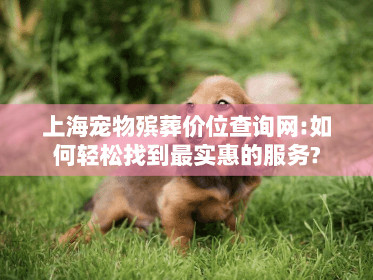 上海宠物殡葬价位查询网:如何轻松找到最实惠的服务?