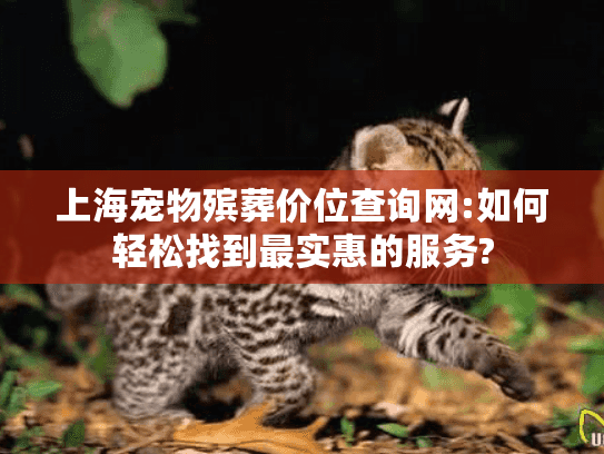 上海宠物殡葬价位查询网:如何轻松找到最实惠的服务?
