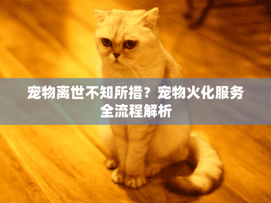宠物离世不知所措？宠物火化服务全流程解析