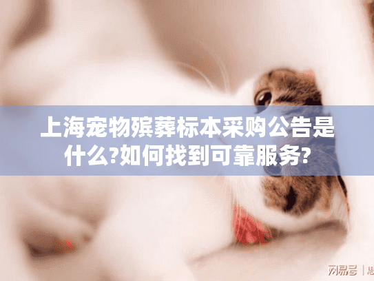 上海宠物殡葬标本采购公告是什么?如何找到可靠服务?