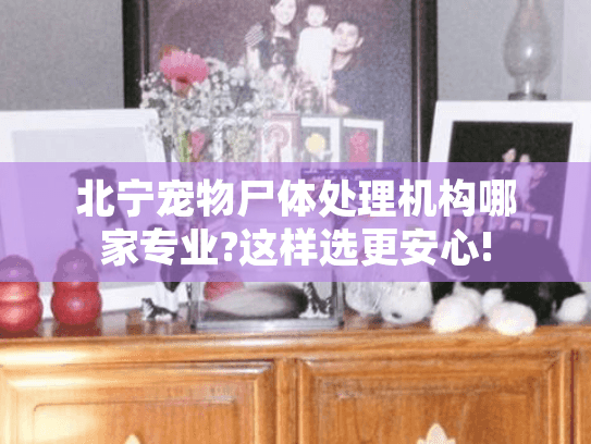 北宁宠物尸体处理机构哪家专业?这样选更安心!