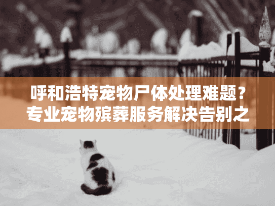 呼和浩特宠物尸体处理难题？专业宠物殡葬服务解决告别之忧