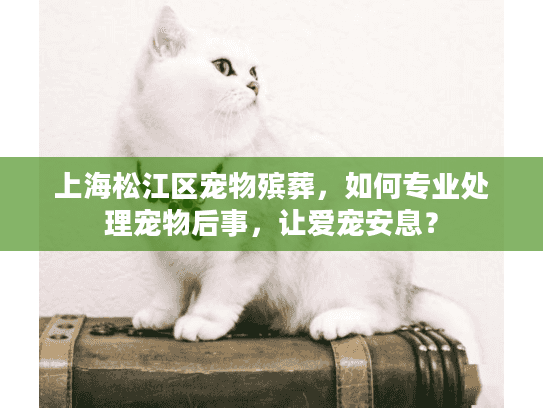 上海松江区宠物殡葬，如何专业处理宠物后事，让爱宠安息？