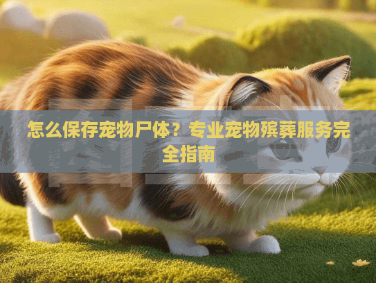 怎么保存宠物尸体？专业宠物殡葬服务完全指南