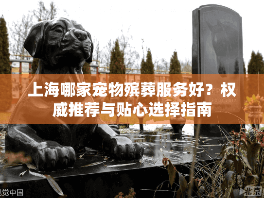 上海哪家宠物殡葬服务好？权威推荐与贴心选择指南
